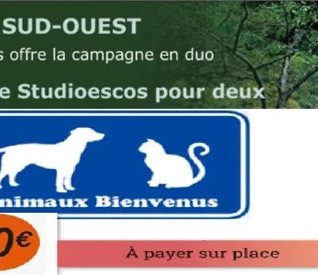 Σπίτι διακοπών Studioescos El Dos *