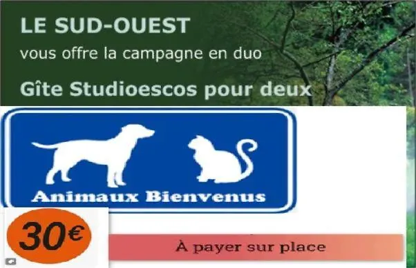 Casa de Férias Studioescos El Dos *